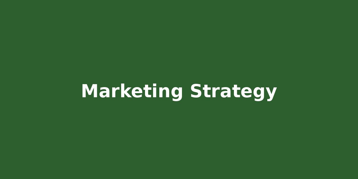 Digital marketing strategy analysis